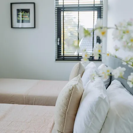 Dutch Design With 6 Luxurious Bedrooms Villa *